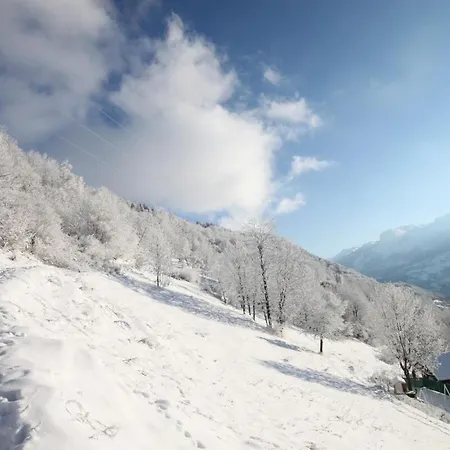Charming Alpine *